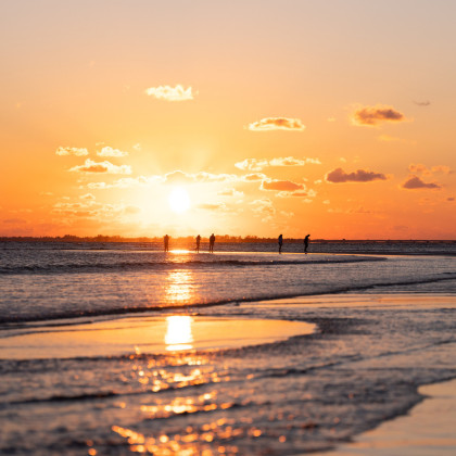 Bunche Beach in Fort Myers